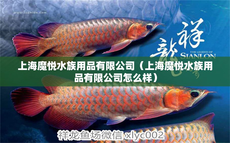 上海魔悦水族用品有限公司（上海魔悦水族用品有限公司怎么样）