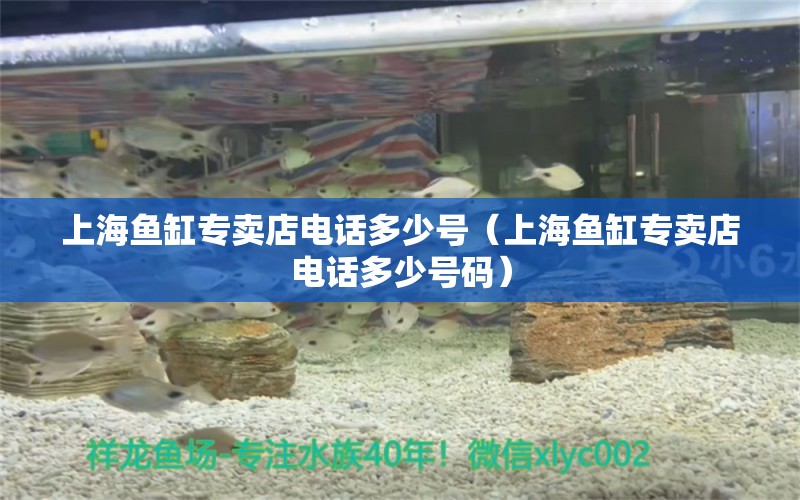 上海鱼缸专卖店电话多少号（上海鱼缸专卖店电话多少号码） 祥龙水族医院