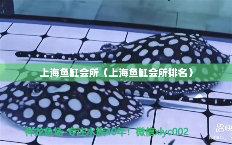 上海鱼缸会所（上海鱼缸会所排名） 祥龙水族医院