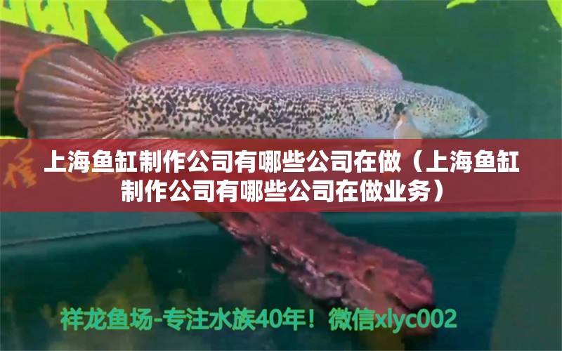 上海鱼缸制作公司有哪些公司在做（上海鱼缸制作公司有哪些公司在做业务）