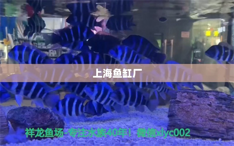 上海鱼缸厂 其他品牌鱼缸