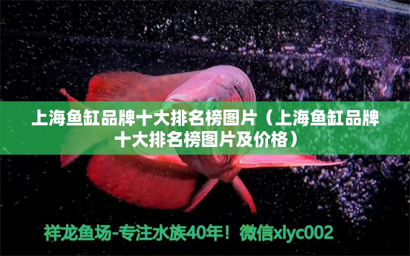 上海鱼缸品牌十大排名榜图片（上海鱼缸品牌十大排名榜图片及价格） 其他品牌鱼缸