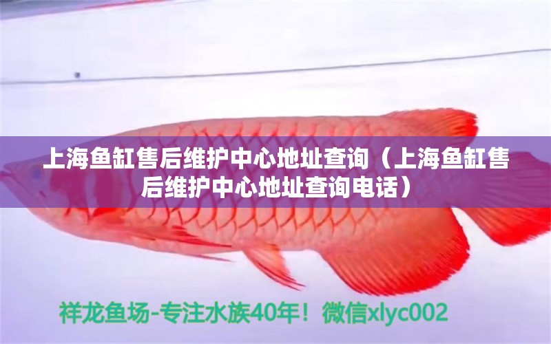 上海鱼缸售后维护中心地址查询（上海鱼缸售后维护中心地址查询电话） 其他品牌鱼缸