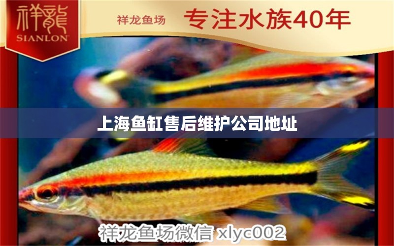 上海鱼缸售后维护公司地址