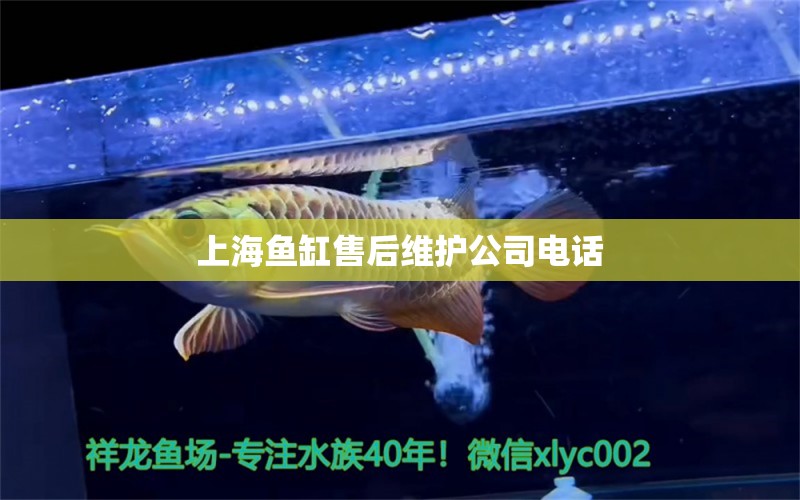 上海鱼缸售后维护公司电话 其他品牌鱼缸