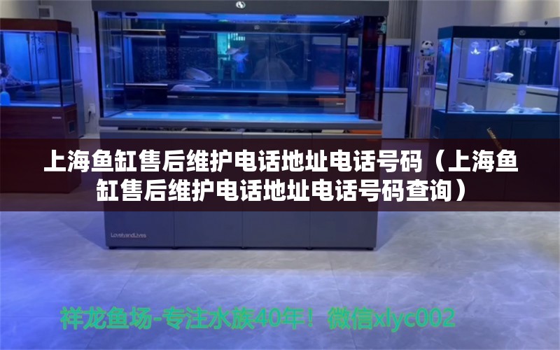 上海鱼缸售后维护电话地址电话号码（上海鱼缸售后维护电话地址电话号码查询）