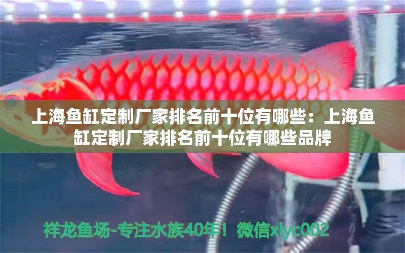 上海鱼缸定制厂家排名前十位有哪些：上海鱼缸定制厂家排名前十位有哪些品牌 观赏鱼