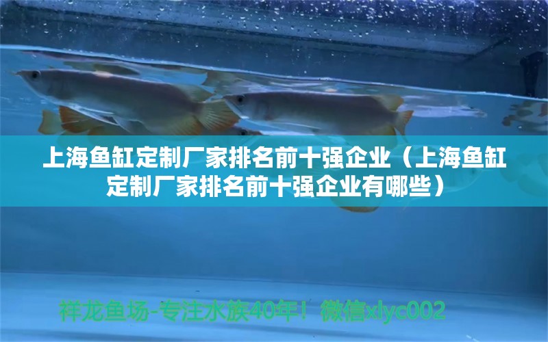 上海鱼缸定制厂家排名前十强企业（上海鱼缸定制厂家排名前十强企业有哪些）