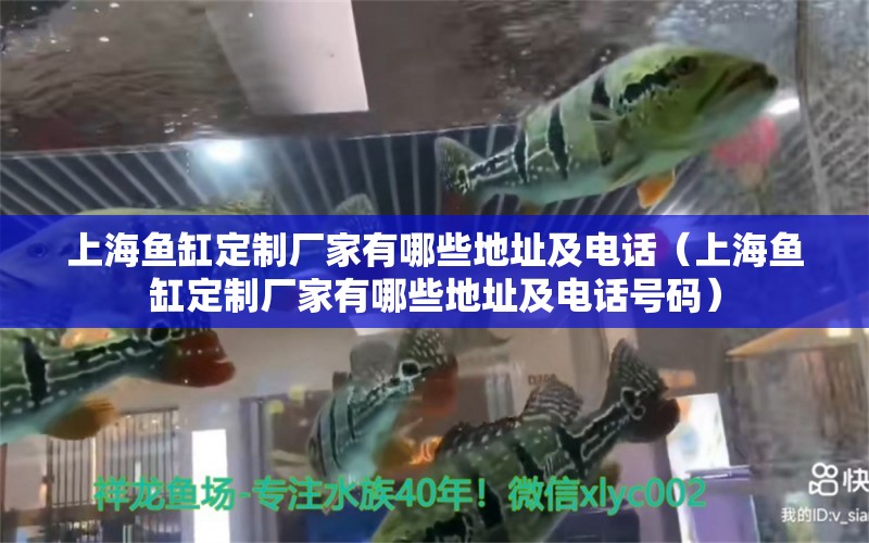 上海鱼缸定制厂家有哪些地址及电话（上海鱼缸定制厂家有哪些地址及电话号码）