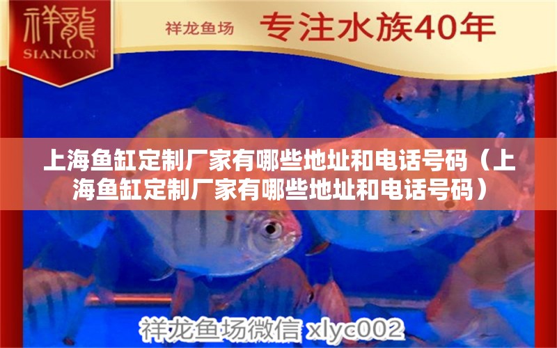 上海鱼缸定制厂家有哪些地址和电话号码（上海鱼缸定制厂家有哪些地址和电话号码）