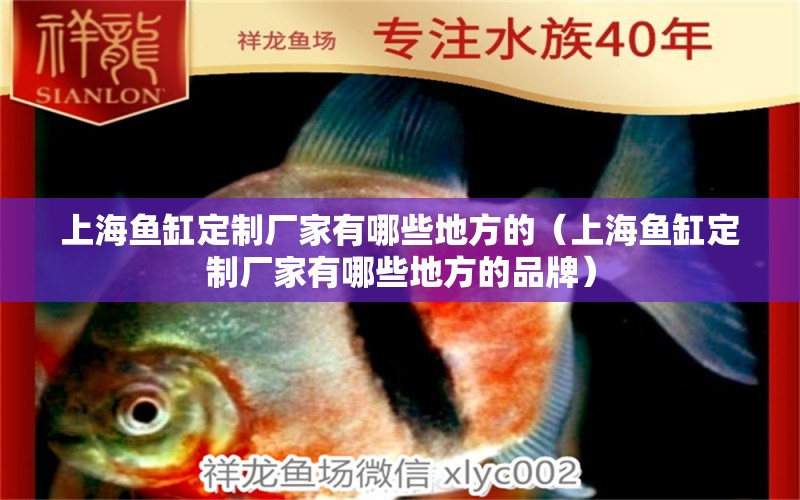 上海鱼缸定制厂家有哪些地方的（上海鱼缸定制厂家有哪些地方的品牌） 黑帝王魟鱼
