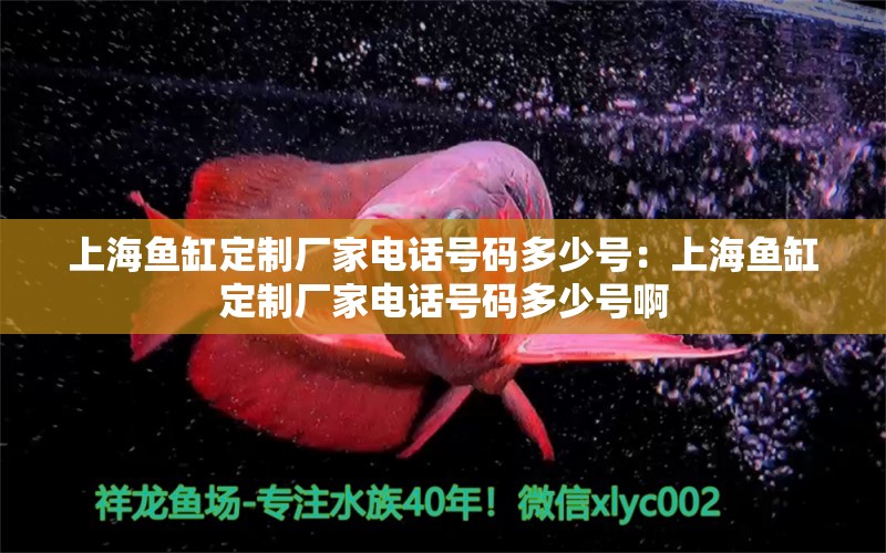 上海鱼缸定制厂家电话号码多少号：上海鱼缸定制厂家电话号码多少号啊 观赏鱼市场（混养鱼）