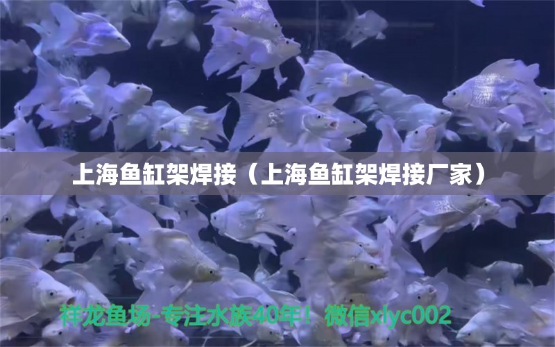 上海鱼缸架焊接（上海鱼缸架焊接厂家） 其他品牌鱼缸