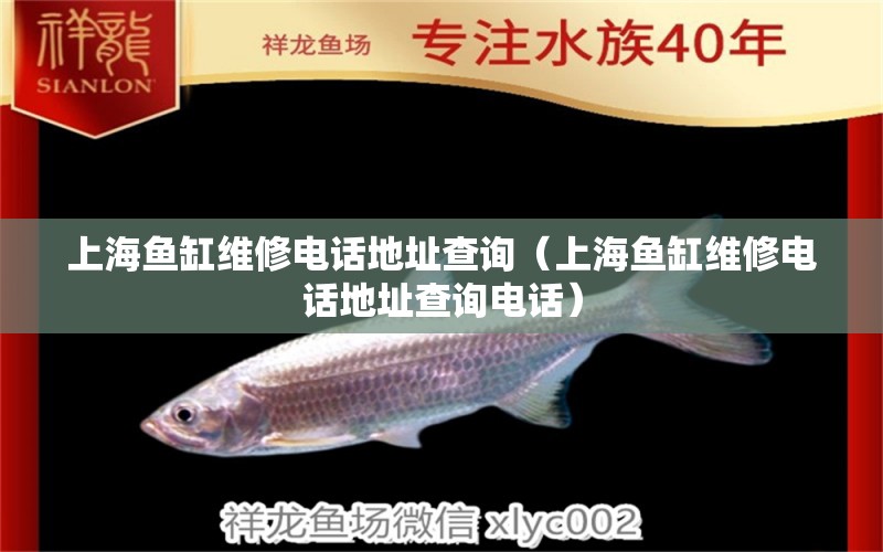 上海鱼缸维修电话地址查询（上海鱼缸维修电话地址查询电话） 其他品牌鱼缸