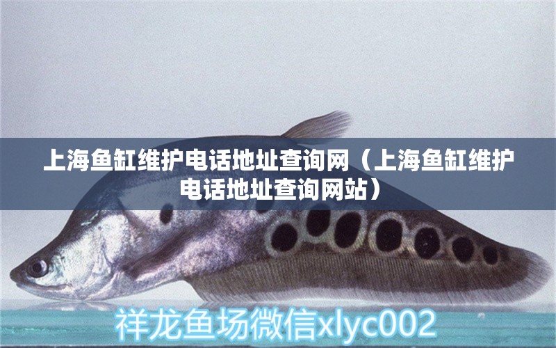 上海鱼缸维护电话地址查询网（上海鱼缸维护电话地址查询网站）