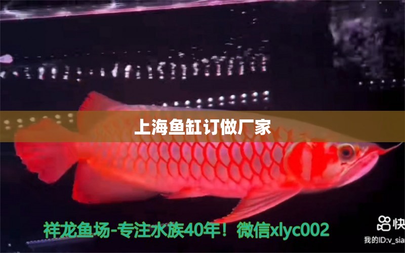 上海鱼缸订做厂家