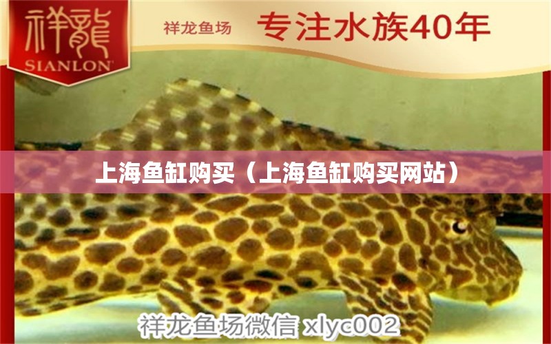 上海鱼缸购买（上海鱼缸购买网站） 其他品牌鱼缸
