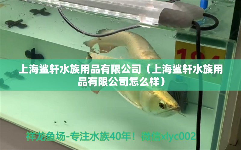 上海鲨轩水族用品有限公司（上海鲨轩水族用品有限公司怎么样）