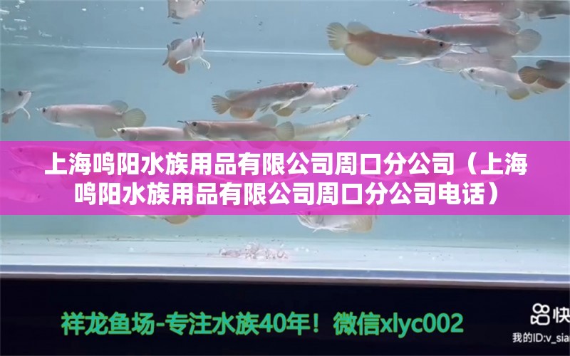 上海鸣阳水族用品有限公司周口分公司（上海鸣阳水族用品有限公司周口分公司电话）