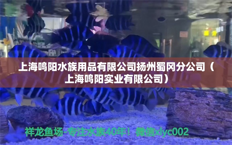 上海鸣阳水族用品有限公司扬州蜀冈分公司（上海鸣阳实业有限公司）