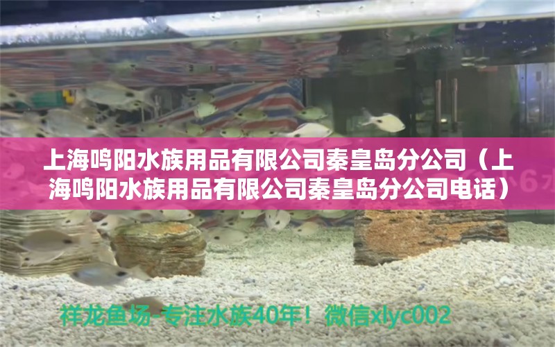 上海鸣阳水族用品有限公司秦皇岛分公司（上海鸣阳水族用品有限公司秦皇岛分公司电话）