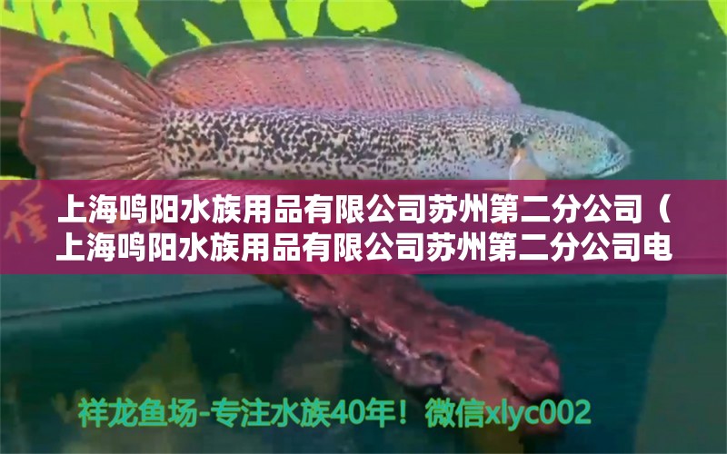 上海鸣阳水族用品有限公司苏州第二分公司（上海鸣阳水族用品有限公司苏州第二分公司电话） 水族用品