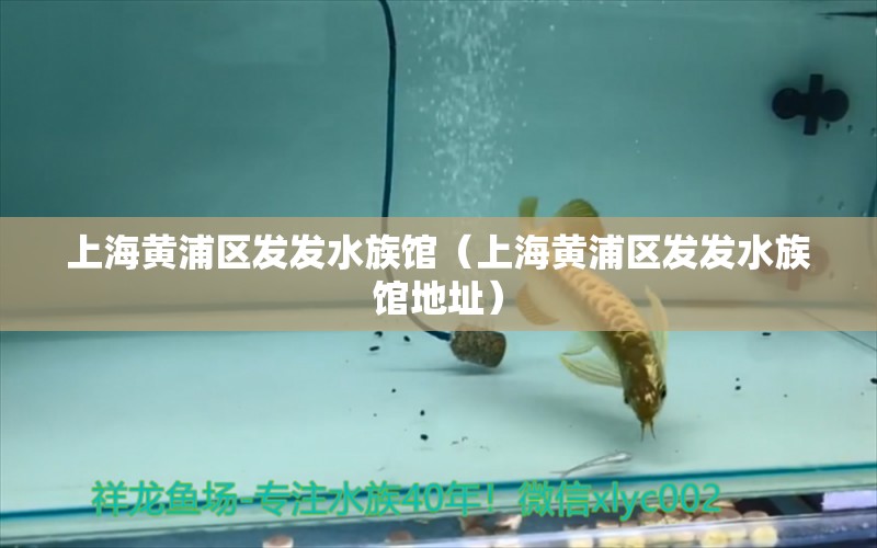 上海黄浦区发发水族馆（上海黄浦区发发水族馆地址） 全国水族馆企业名录