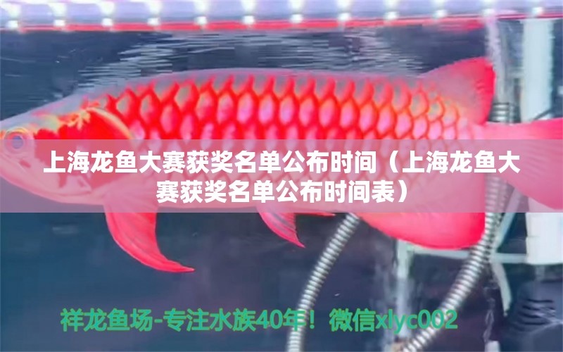 上海龙鱼大赛获奖名单公布时间（上海龙鱼大赛获奖名单公布时间表）