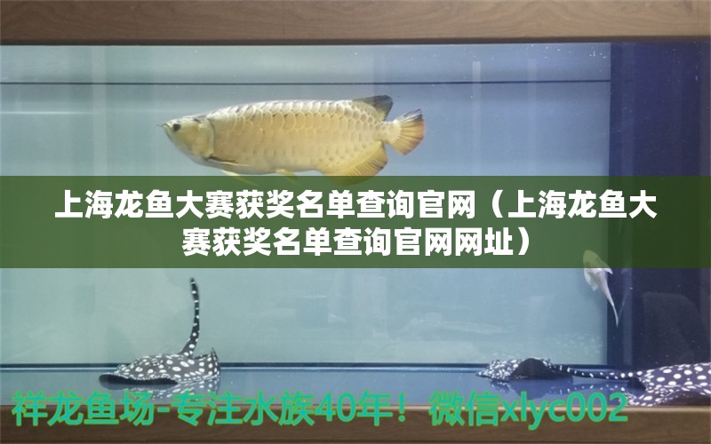 上海龙鱼大赛获奖名单查询官网（上海龙鱼大赛获奖名单查询官网网址）