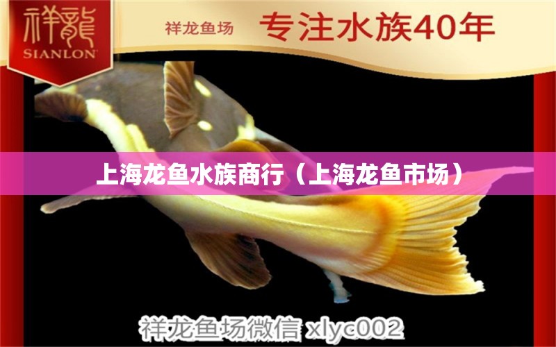 上海龙鱼水族商行（上海龙鱼市场） 全国水族馆企业名录