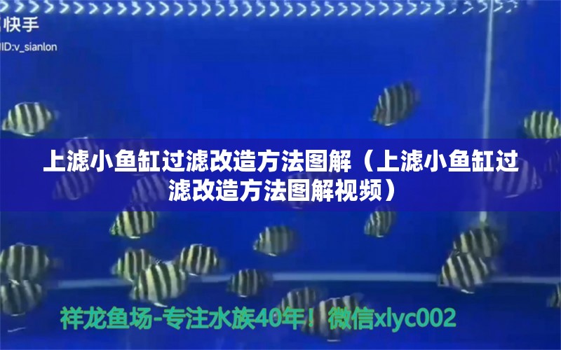 上滤小鱼缸过滤改造方法图解（上滤小鱼缸过滤改造方法图解视频）