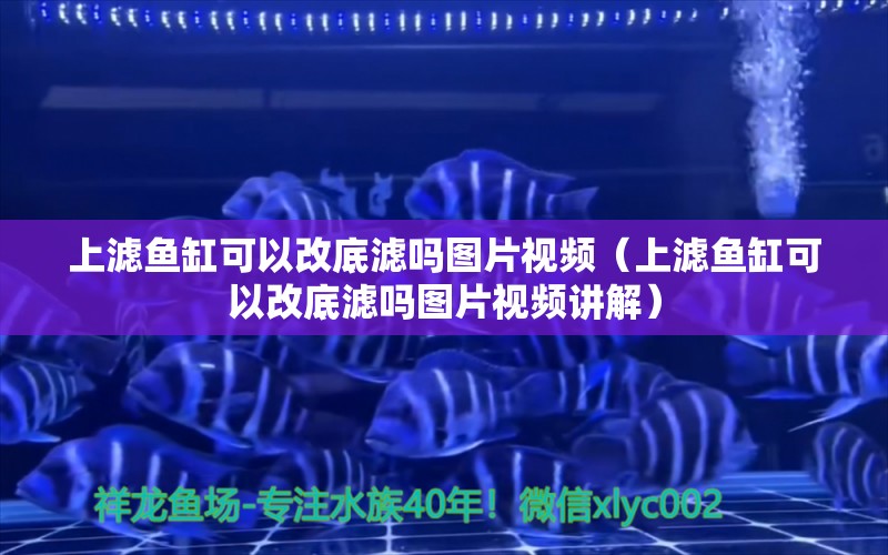 上滤鱼缸可以改底滤吗图片视频（上滤鱼缸可以改底滤吗图片视频讲解）