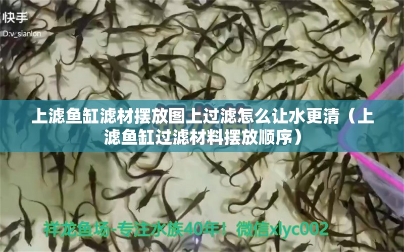 上滤鱼缸滤材摆放图上过滤怎么让水更清（上滤鱼缸过滤材料摆放顺序）