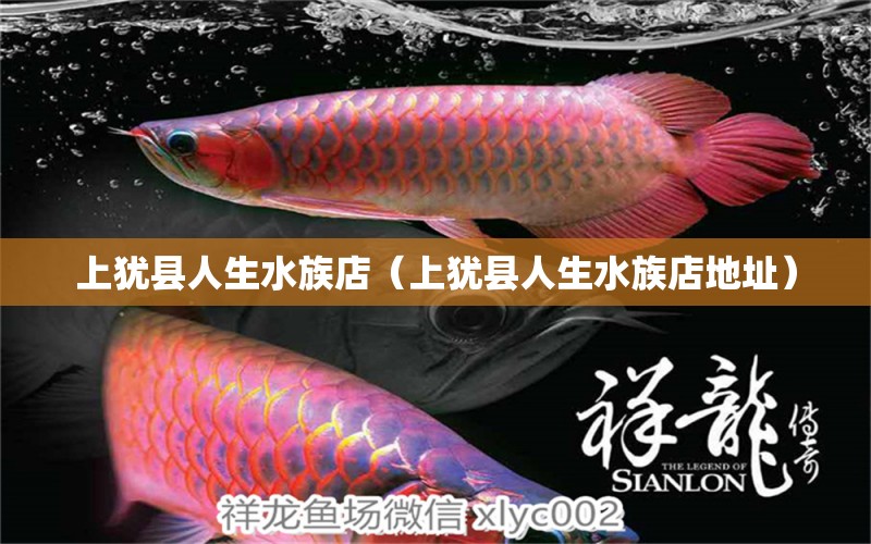 上犹县人生水族店（上犹县人生水族店地址）