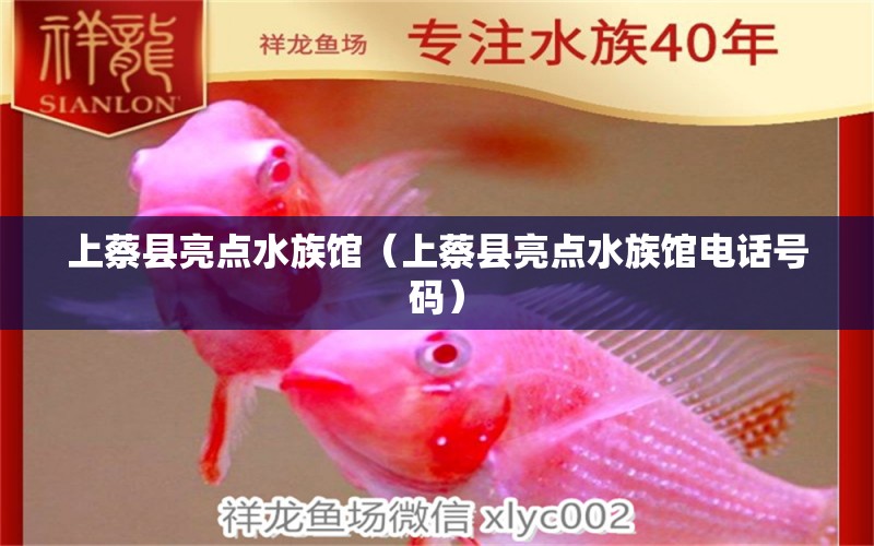 上蔡县亮点水族馆（上蔡县亮点水族馆电话号码）