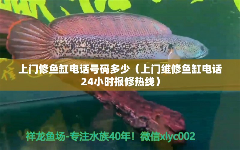 上门修鱼缸电话号码多少（上门维修鱼缸电话24小时报修热线）