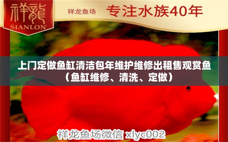 上门定做鱼缸清洁包年维护维修出租售观赏鱼（鱼缸维修、清洗、定做）