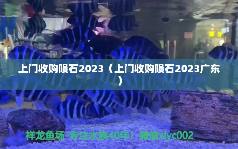 上门收购陨石2023（上门收购陨石2023广东）