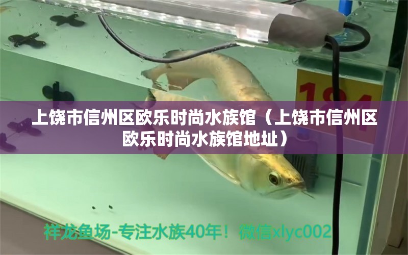 上饶市信州区欧乐时尚水族馆（上饶市信州区欧乐时尚水族馆地址）