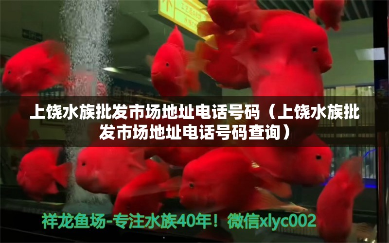 上饶水族批发市场地址电话号码（上饶水族批发市场地址电话号码查询） 观赏鱼水族批发市场