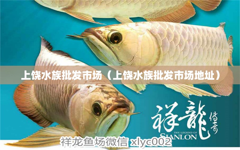 上饶水族批发市场（上饶水族批发市场地址）