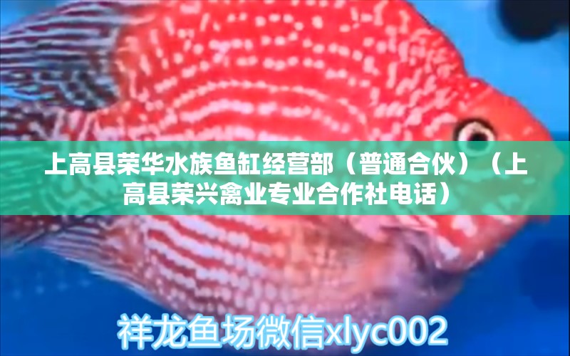 上高县荣华水族鱼缸经营部（普通合伙）（上高县荣兴禽业专业合作社电话）