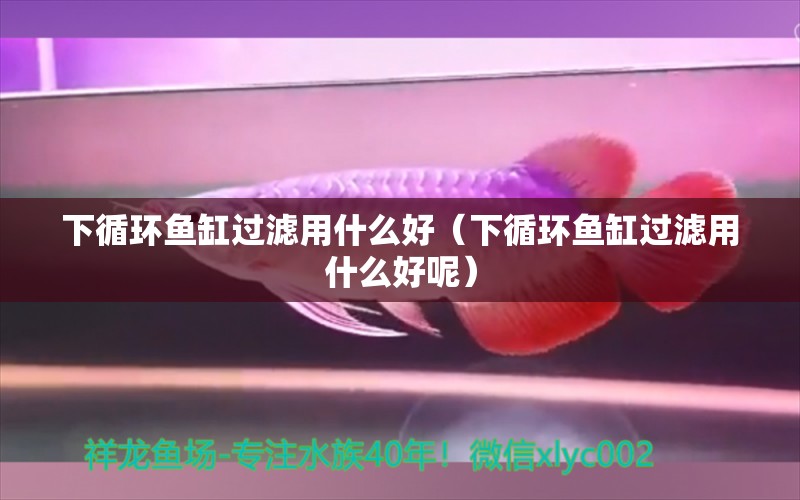 下循环鱼缸过滤用什么好（下循环鱼缸过滤用什么好呢） 其他品牌鱼缸