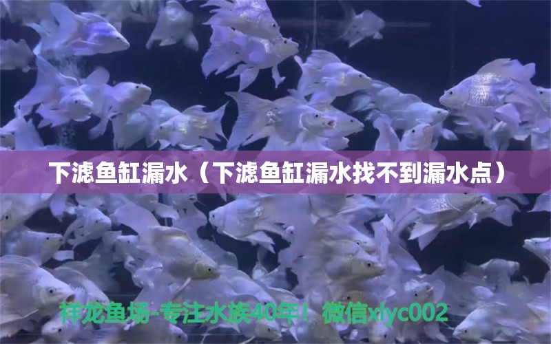 下滤鱼缸漏水（下滤鱼缸漏水找不到漏水点）