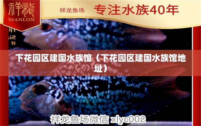 下花园区建国水族馆（下花园区建国水族馆地址） 全国水族馆企业名录