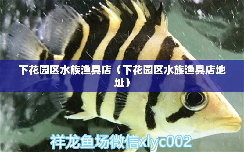 下花园区水族渔具店（下花园区水族渔具店地址） 全国水族馆企业名录