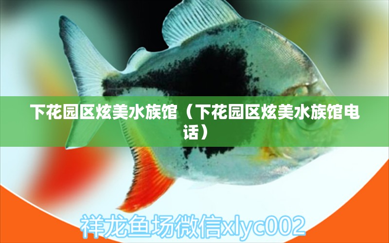 下花园区炫美水族馆（下花园区炫美水族馆电话） 全国水族馆企业名录