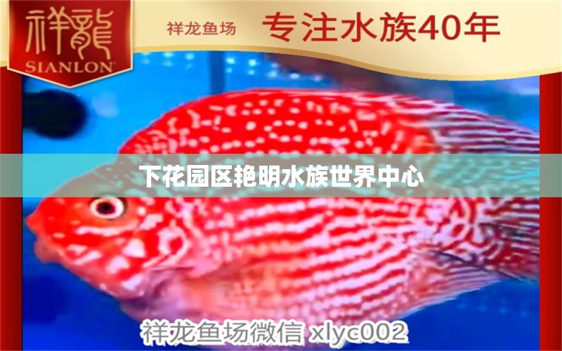 下花园区艳明水族世界中心