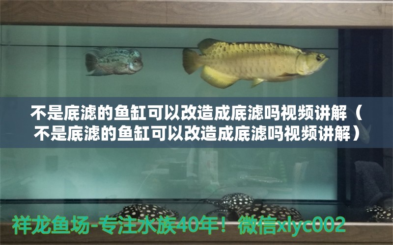 不是底滤的鱼缸可以改造成底滤吗视频讲解（不是底滤的鱼缸可以改造成底滤吗视频讲解） 观赏鱼市场（混养鱼）