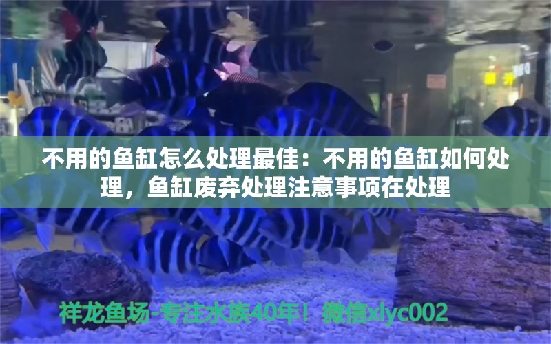 不用的鱼缸怎么处理最佳：不用的鱼缸如何处理，鱼缸废弃处理注意事项在处理 鱼缸百科 第2张